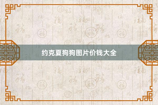 约克夏狗狗图片价钱大全
