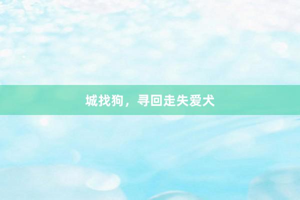 城找狗,寻回走失爱犬